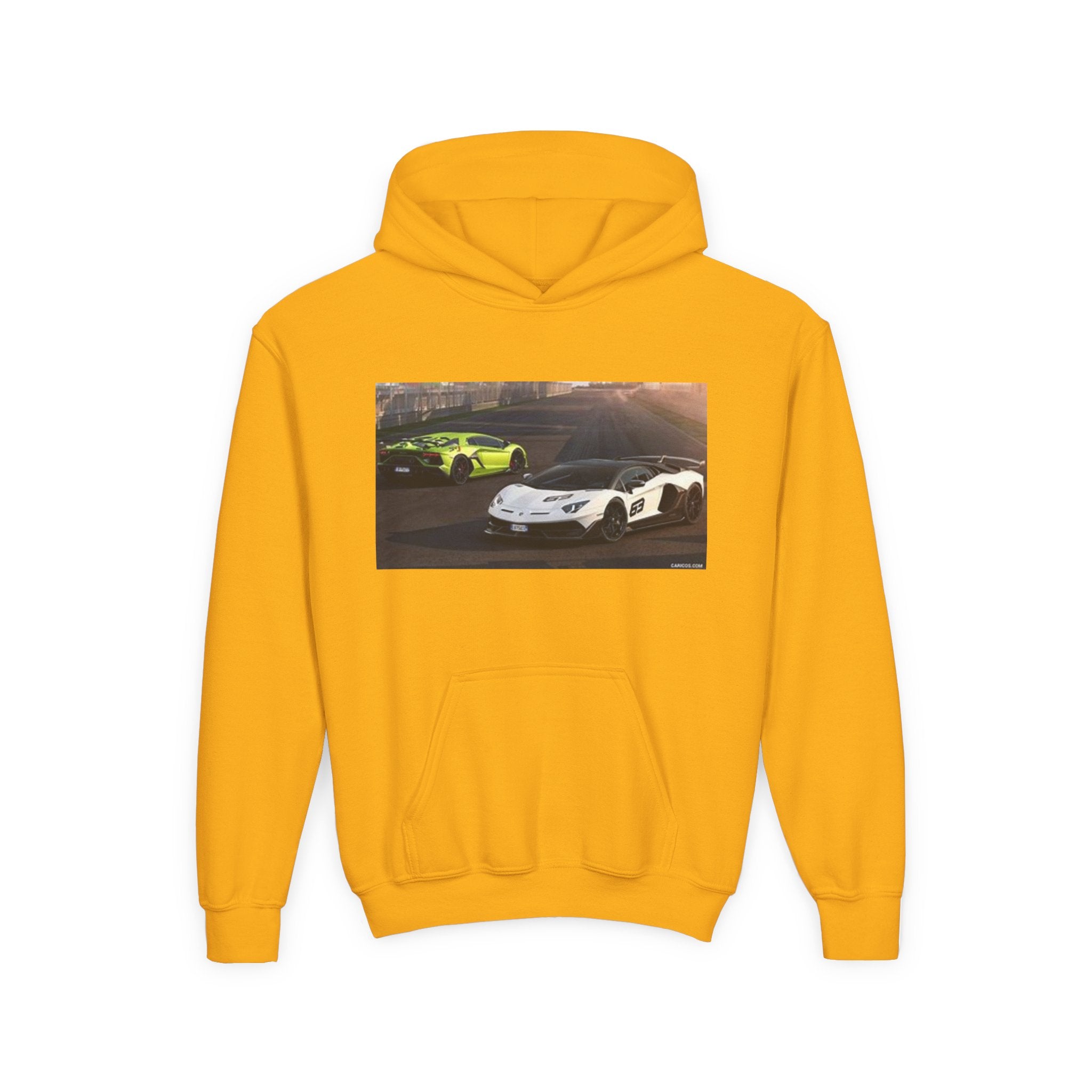 Youth Hoodie — Exotic Sports Cars Print with “Buckle Up” Back Script